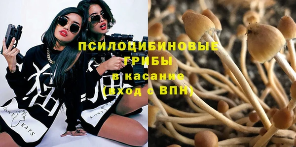 a pvp Алексеевка