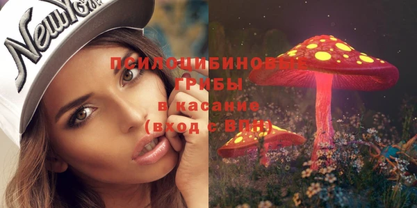прущий лед Алексин